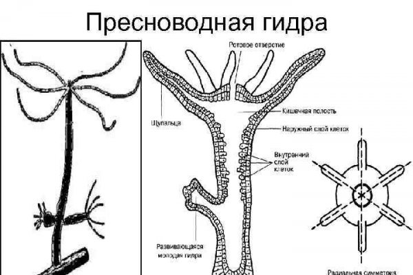 Магазин кракен как попасть